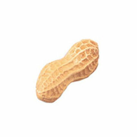 PLAYWOOD Shaker peanut