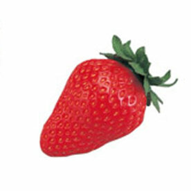 PLAYWOOD Shaker strawberry