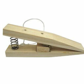 CONCORDE Triangel clip wood