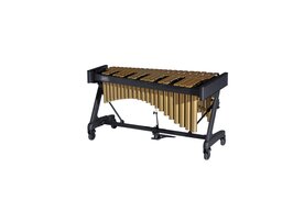 ADAMS Vibe Concert VCWA30 Apex frame with motor gold bars