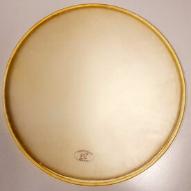 CONCORDE Calfskin clear 15", on metal