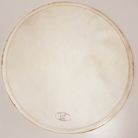 CONCORDE Calfskin white 14", on wood