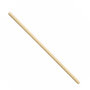 CONCORDE Rasping stick, per piece