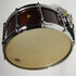 CONCORDE Snare drum 14" x 6½", maple Black Satin_